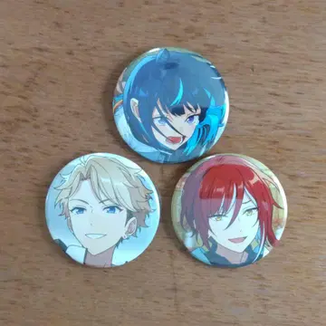 앙스타 Dec 캔뱃지 casual 에스 나츠메 아라시 여름