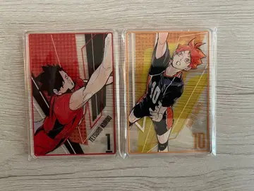 쿠로오 테츠로 히나타 쇼요 하이큐 스탯 카드