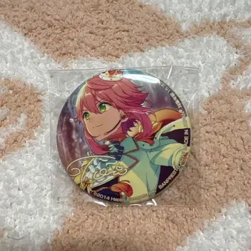 앙상블 스타즈 앙스타 히메미야 토리 버라이어티 캔뱃지 2nd vol.1