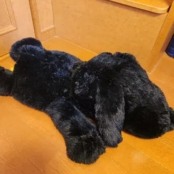 블랙 강아지 봉제 인형