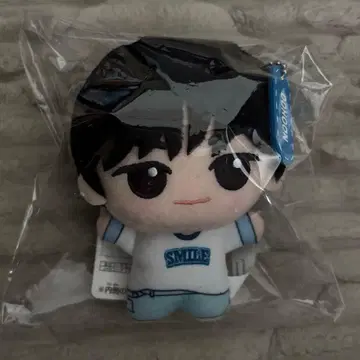 TWS 도훈 SD 인형