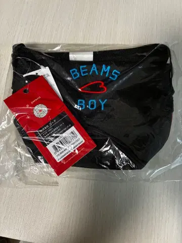 Manhattan x beams boy 메신저 백