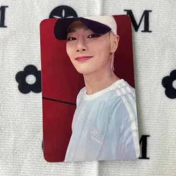 StrayKids 아이엔 MAXIDENT 포토카드 사전예약