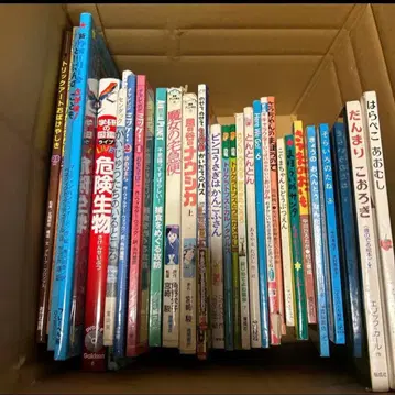 그림책 세트 배고픈 애벌레 월리를 찾아라 지브리 마녀 배달부 키키 28권