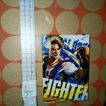 스트리트 파이터 스퀘어 마그넷 루크