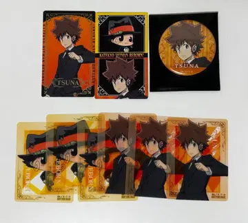 가정교사 히트맨 REBORN 스프링 페어 사와다 츠나요시