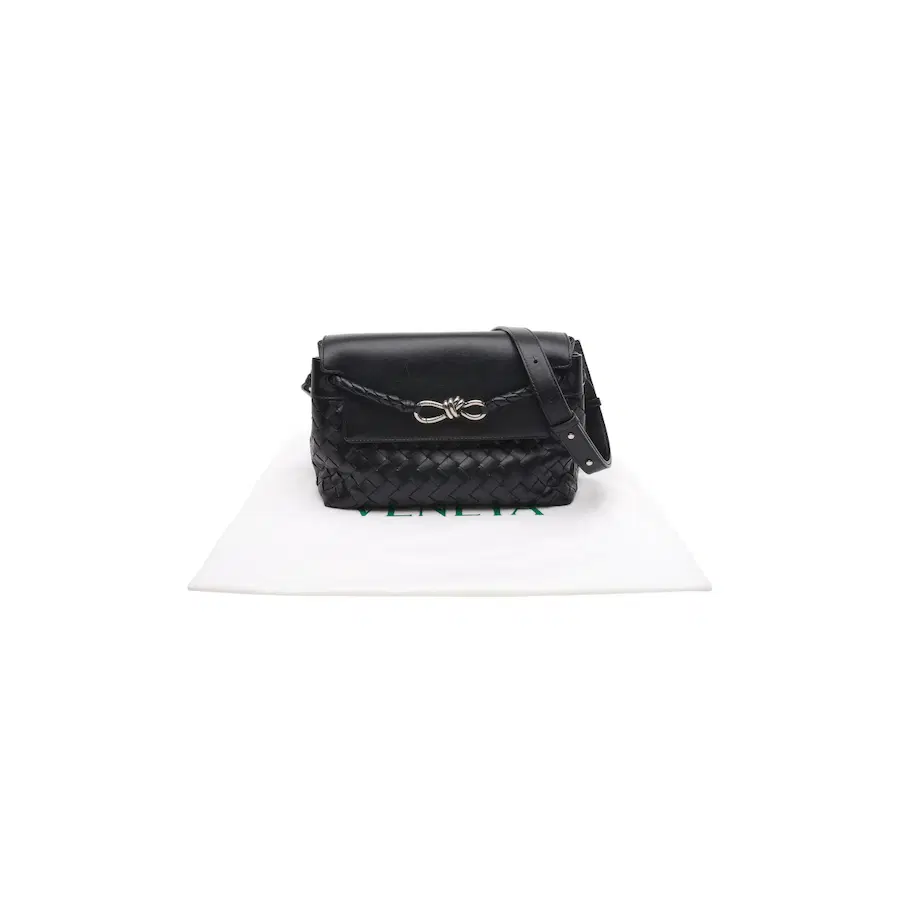 宝缇嘉（Bottega Veneta）Andiamo 信使包（小号）