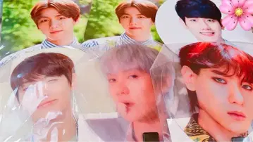 EXO 백현 부채 세트