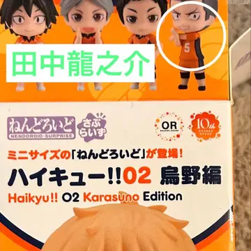 하이큐 타나카 류노스케 넨도로이드 서프라이즈 02 카라스노 편