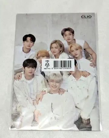 Stray Kids 스키즈 SKZ CLIO 클리오 엽서