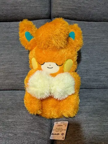 포켓몬스터 파모 모후굿토 쿠츠로기 타임 봉제 인형!