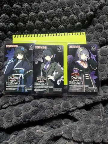 히나비타 e-amusement pass 세트