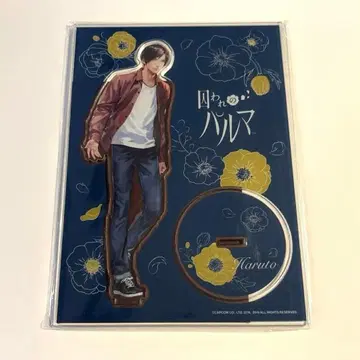 죄수 파르마 하르트 빅 아크릴 스탠드 메시지 카드