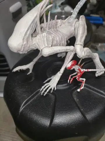 NECA 네카 네오모프 에이리언 제노모프