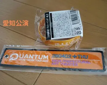 TM NETWORK QUANTUM 러버 밴드 & 플라이트 택 아이치 공연