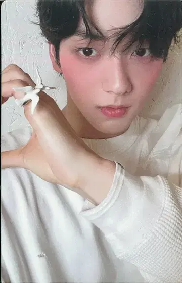 TXT 포토 카드반 SOOBIN Starkissed E