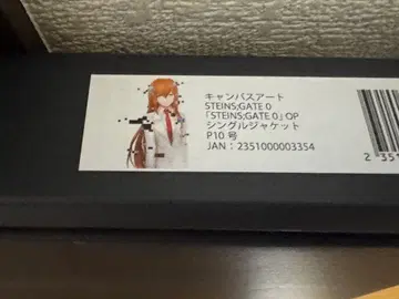 STEINS;GATE 마키세 크리스 캔버스 아트