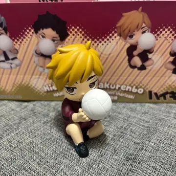 하이큐!! 숨바꼭질 미야 아츠무