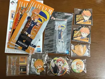 하이큐 히나타 쇼요 세트