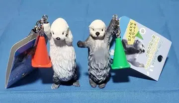 도바 수족관 랏코 메이짱 키라짱 키링 새상품 2개 세트