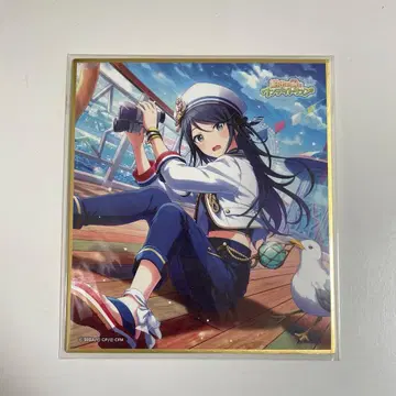 프로세카 호시노 이치카 색지 34b