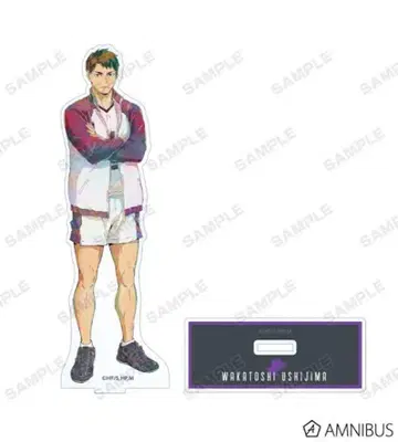 하이큐!! 우시지마 와카토시 Ani-Art BIG 아크릴 스탠드 2세트