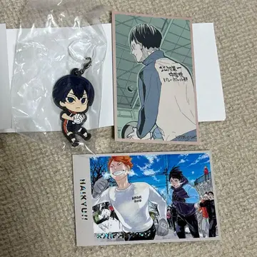 하이큐 카게야마 토비오 메모리얼 컬렉션 & 메지루시 참