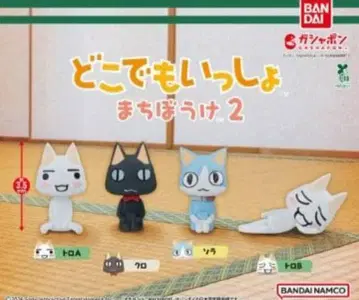 도코데모 잇쇼 기다림 2 전 4종 세트 오늘 한정 가격