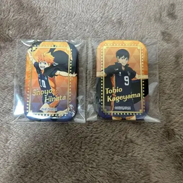 하이큐 스퀘어 캔뱃지 횡단막 히나타 카게야마