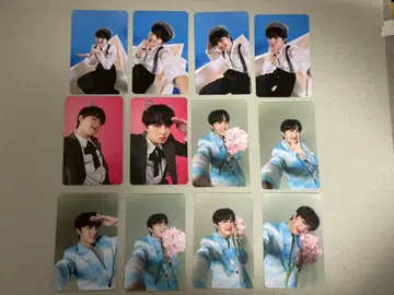 NuNew Anything 랜덤 카드 3