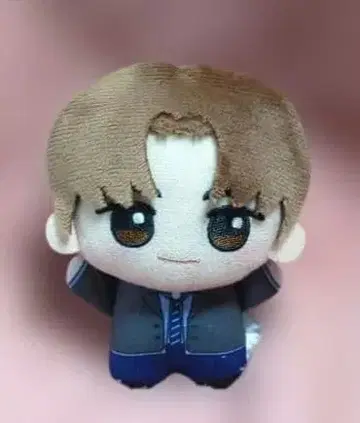 TWS plot twist SD 인형 vol.2 YOUNGJAE 영재