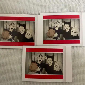 하이큐 파샤코레 쿠로오 테츠로 보쿠토 코타로 츠키시마 케이 히나타 쇼요