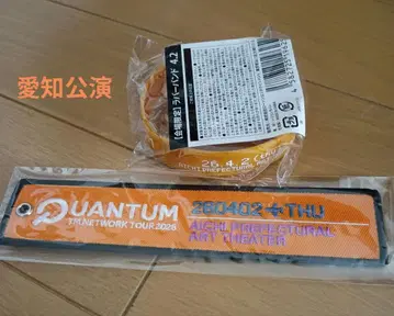 TM NETWORK QUANTUM 러버 밴드 & 플라이트 택 아이치 공연
