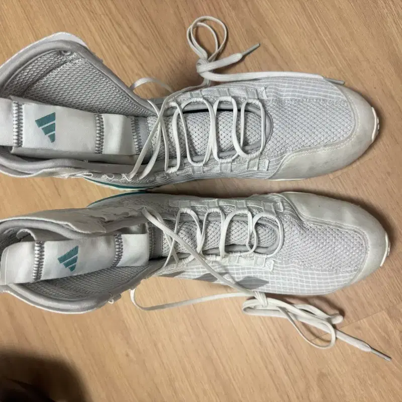 아디다스 복싱화 스피덱스23 희귀색상
