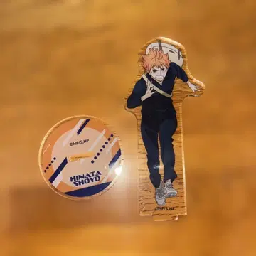 히나타 쇼요 아크릴 스탠드