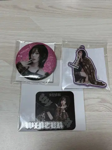 aespa 윈터 랜덤 토이 3종 세트