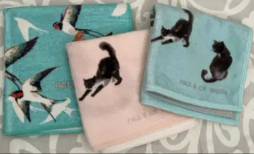 폴앤조 타월 손수건 제비 고양이