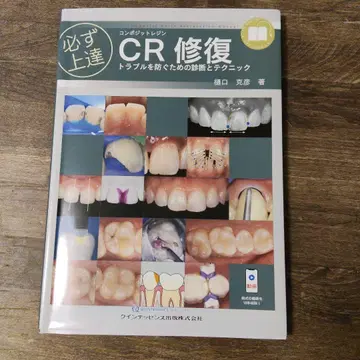 반드시 실력 향상 CR 복원 트러블을 방지하기 위한 진단과 테크닉