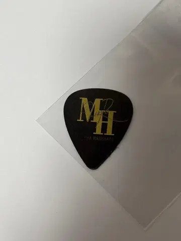 TUBE 하루하타 미치야 피크