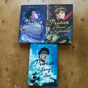 A Disney Princess Novel Series