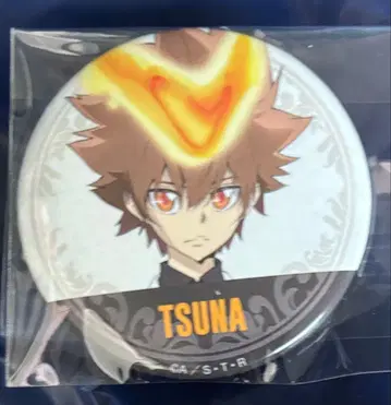 가정교사 히트맨 REBORN! 사와다 츠나요시 애니메이션 재팬 캔뱃지 3