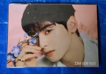 [차은우] PHOTO POSTER 빅 사이즈 42 x 30