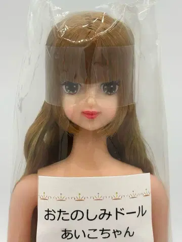 아이코짱 리카짱 캐슬 즐거운 인형 제니 프렌드