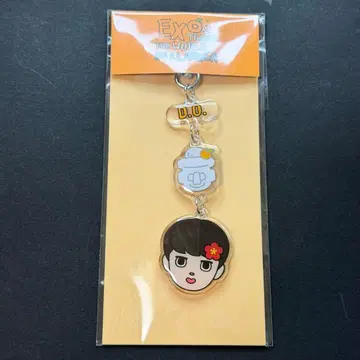 [ EXO D.O. ] 아미다로 세계여행 5 키링