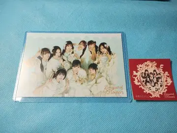 새상품급!! [엽서] 타카네노 나데시코