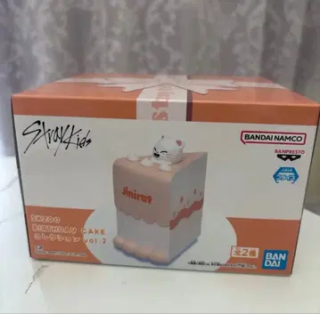 SKZOO BIRTHDAY CAKE 컬렉션 지니레트 케이크