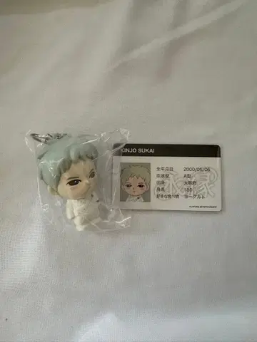 푸치제오 킨죠 스카이