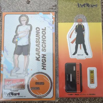 하이큐!! 아크릴 스탠드 츠키시마 케이 히나타 쇼요