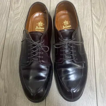 Alden 코도반 D6616 61/2E