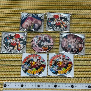 정리 카리스마 캔뱃지 세트 v